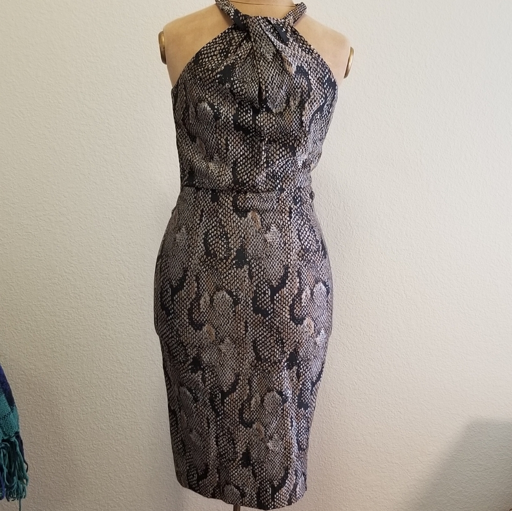 H&M Long Snake Pattern Dress
